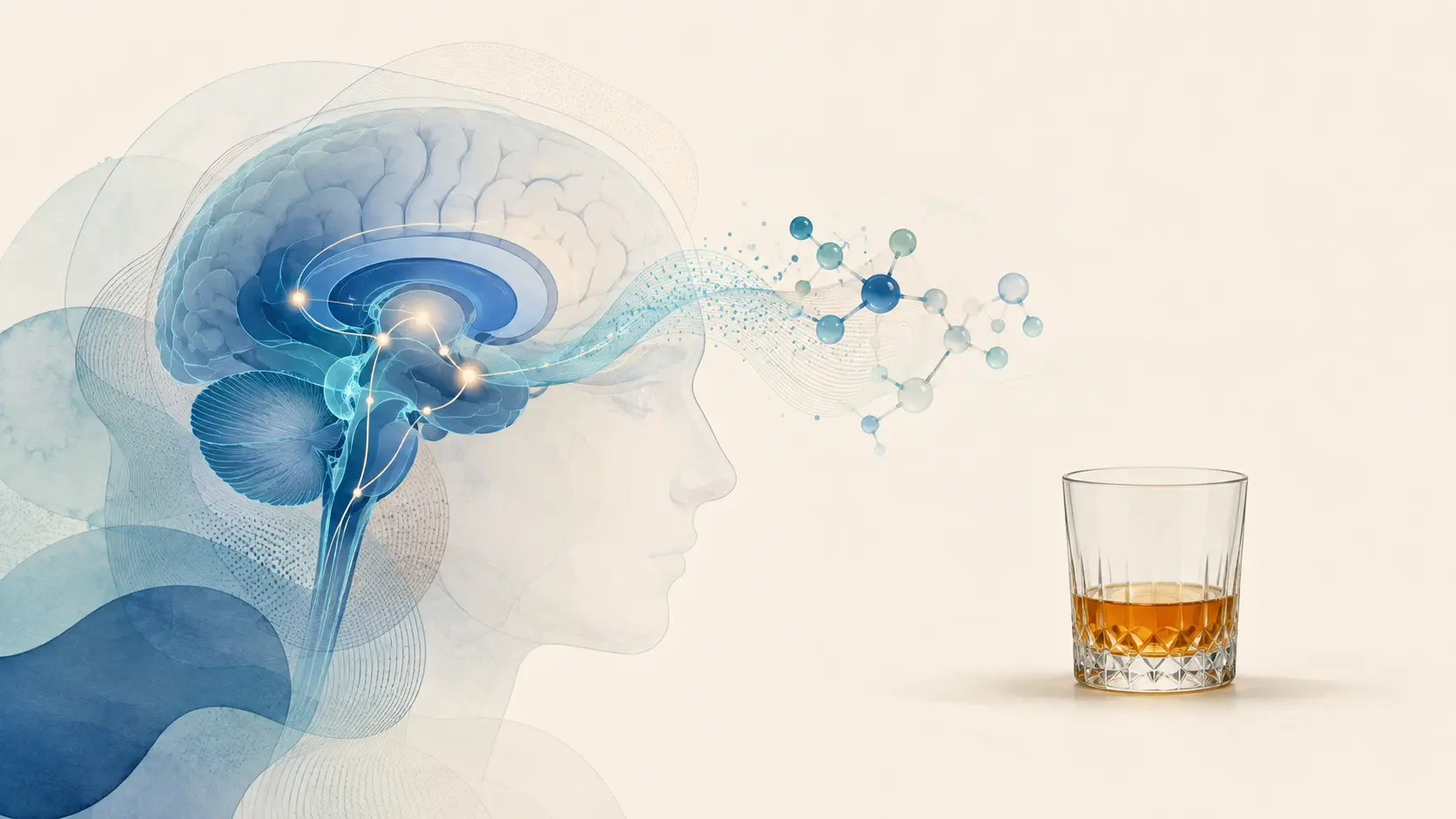 Ilustração editorial de circuitos cerebrais de recompensa, sinalização molecular e um copo de bebida alcoólica